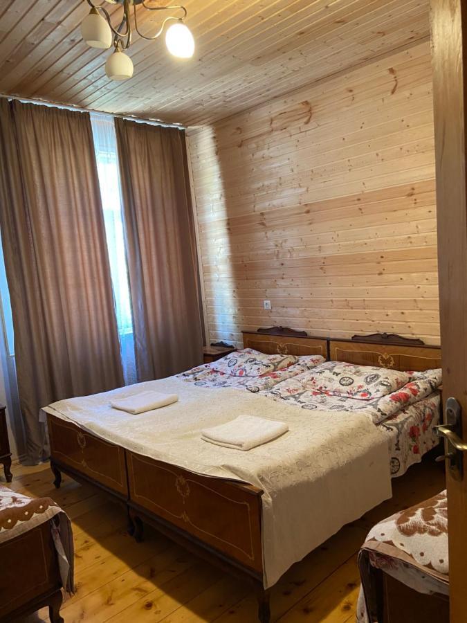 Eliso'S Guesthouse Mestia Zewnętrze zdjęcie